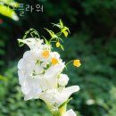 온플라워 - 기장군 모전로 82 | 온플라워