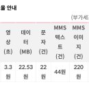 lg망 알뜰폰 평생요금제 (~3/31까지 가입시 추가 데이터 지급) 이미지