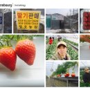 정호농장 이미지