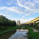 세강당한의원 이미지