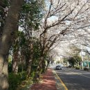 마법의언덕 이미지