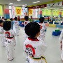 국가대표 용인대박사태권도장 이미지