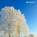 신생교회 앞 이미지