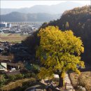 함안향교 이미지