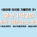 엄마랑 6살 아이랑 1박2일 부산-일본 크루즈 여행 (이스턴크루즈, 부산국립과학관, 칠암사계 부산 이색...