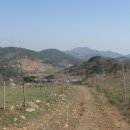 선명농장 이미지