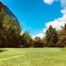 화이트스톤 골프연습장 이미지