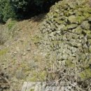 신례1리 이미지