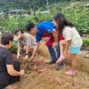 이종국농장 이미지