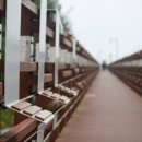 현미민박 이미지