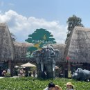 기린식당 이미지