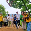 천마여행 이미지