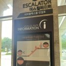 홍천 비발디 파크 부대시설 내돈내산 이용후기 (놀이기구, 앤트월드 키즈카페, 비바플렉스몰 어반스코트)