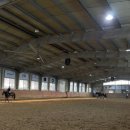 정철희 국제승마센터 이미지