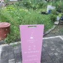 샤이닝제이네일