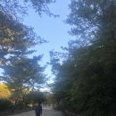 화산골작은도서관 | &lt;장길산&gt;이 꿈 꿨던 세상은 &#39;와불&#39;이 되어 여전히 누워 있고... 천불천탑골의 전설 운주사