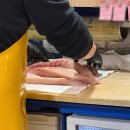 노량진 언니들 | 노량진 방어 포장 맛집 | 한점 노량진횟집 모듬회 포장 솔직후기