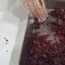 3대경희한의원 이미지