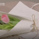 스윗시그널 - 창원시 의창구 용동로 45 | 스윗시그널