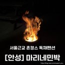 마리네민박 공인중개사사무소 | 안성] 서울 근교 촌캉스 뚜벅이 미리내호수 마리네별장 내돈내산 | 불멍 바베큐하기 좋은 프라이빗 독채...