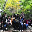 소풍가는날 이미지