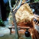 오얏리돌솥밥 이미지