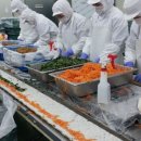 대박난김밥 - 서귀포시 문부로11번길 21 | 대박난김밥