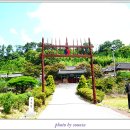 군산 옥구 향교 배롱나무 명소 이미지