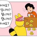 다이소홍천