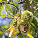 청평힐리조트 이미지