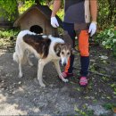 뒤뜰공원 이미지