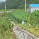 미천면-5 이미지