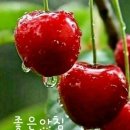 좋은인연 Daum카페