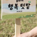 완인농장 네이버블로그