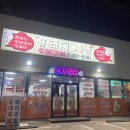 꿀돼지세상