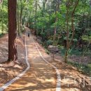 B.O.F(계림) 이미지