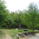 무곡리 삼층석탑 이미지