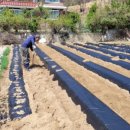 경기도 안성시 보개면사무소 이미지