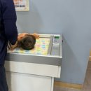 효나소아청소년과의원 이미지