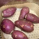 둘이농장 | [해남] 해남가볼만한곳 겨울음식 꿀고구마가 있는 유기마켓