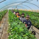 용인대힘찬나래태권도 이미지