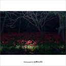 석순농장 이미지