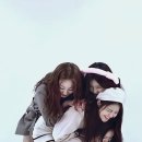 풀빛소리 이미지
