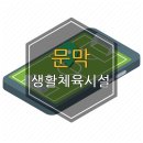 문막생활체육시설 풋살장 이미지