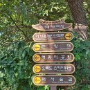 마당바위여울 이미지