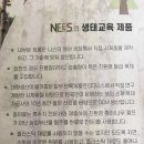 주식회사 니스