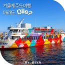 서귀포성당 뒤 주차장 | 겨울 제주도 혼자 여행 제주 서귀포 가볼만한곳