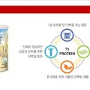 티에스솔루션