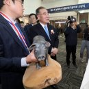 서울과학축산 이미지