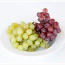 반여착한동물병원 이미지